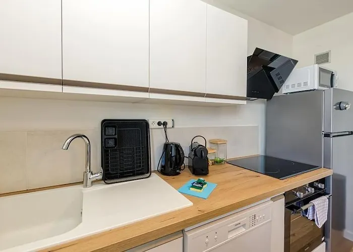 Standing, 4 Ch Dont 2 Sdb Prive, Clim, Fibre * Grenoble